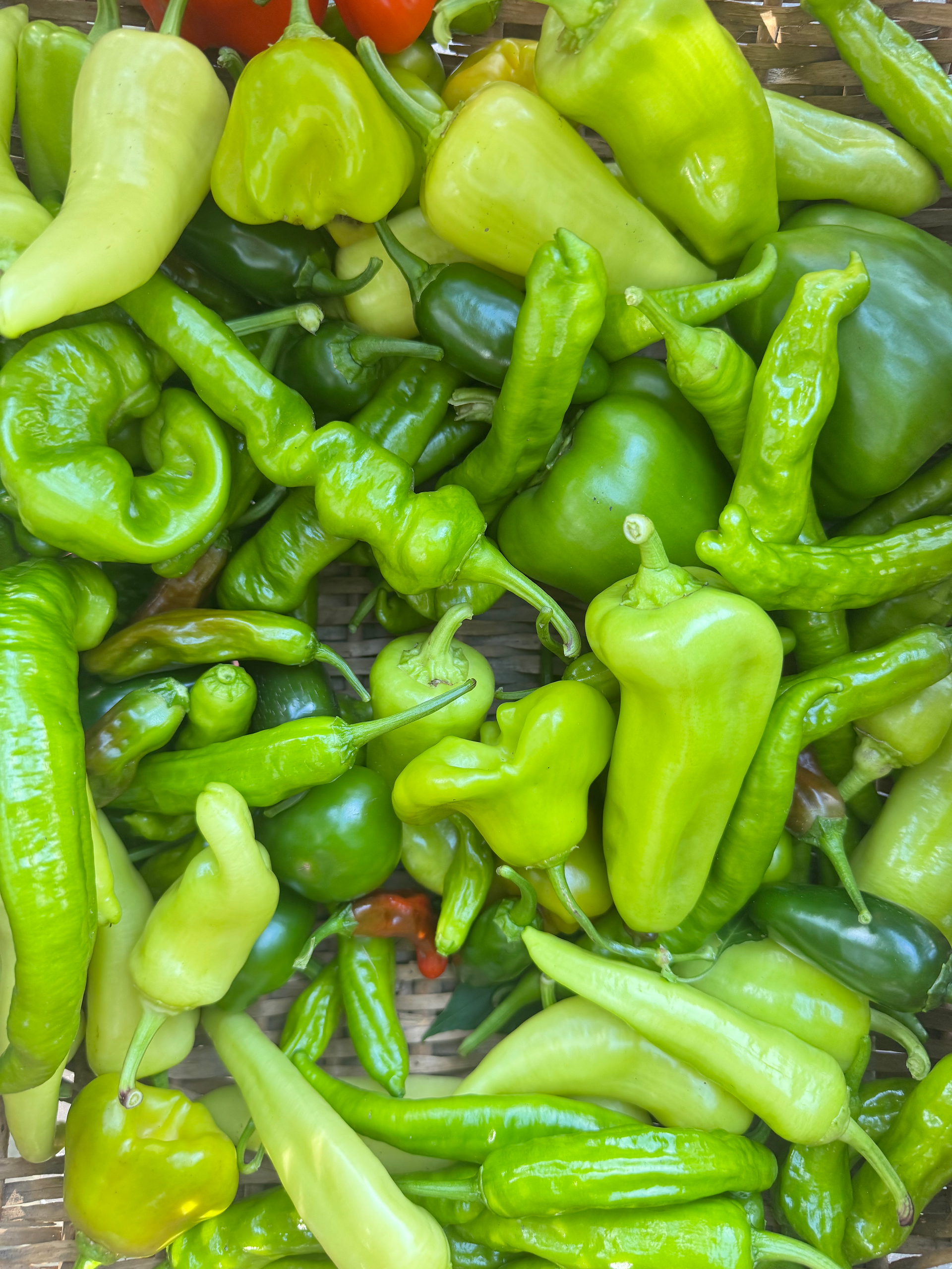 close up garden peppers