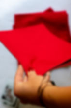 Vintage Red Cloth Napkins