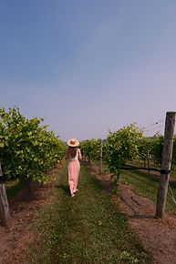 DSCF9635.JPG