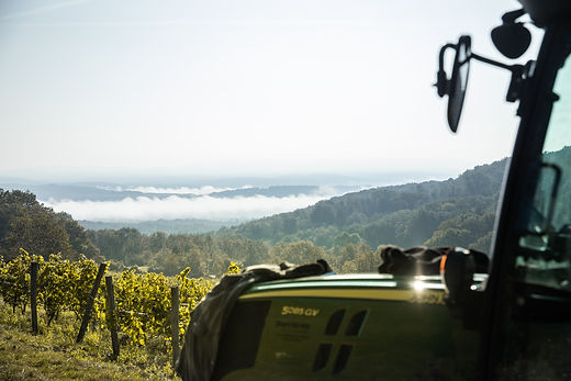 BBD_Vendanges Gravelles_035©MorganeMonneret.jpg