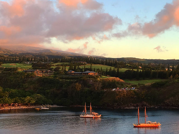 allalohaheader.jpg