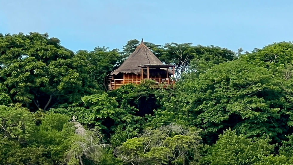 Treetop Bungalow at Hotel Las Islas, Baru Island, Colombia
