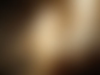 Why Probate Genealogy Matters in France  and Why You Should Work with a Professional