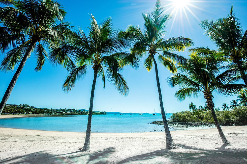 Airlie_Beach_credit_Jules_Ingall.jpg