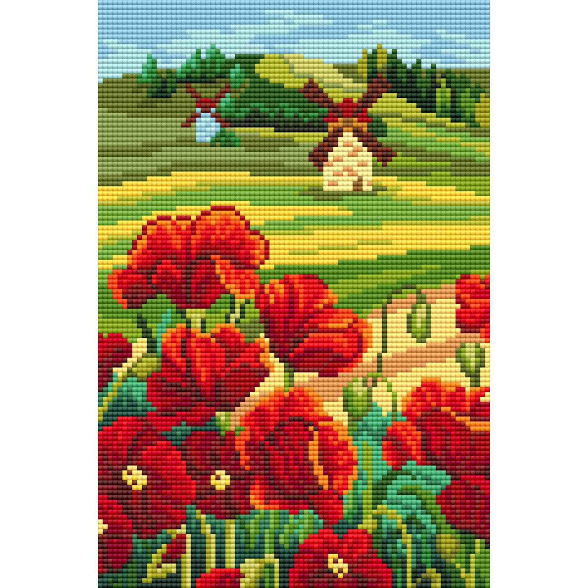Diamond Embroidery Painting kit full coverage, square sparkles Poppies windmill DE7181