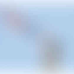 seagull with flag cross stitch kit