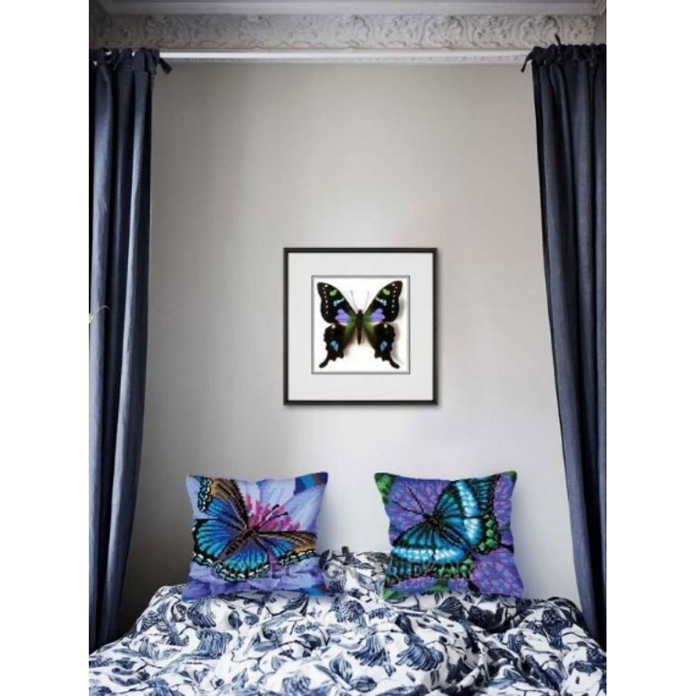 Cushion cross stitch printed kit needlepoint Butterfly 5312, Collection D'Art