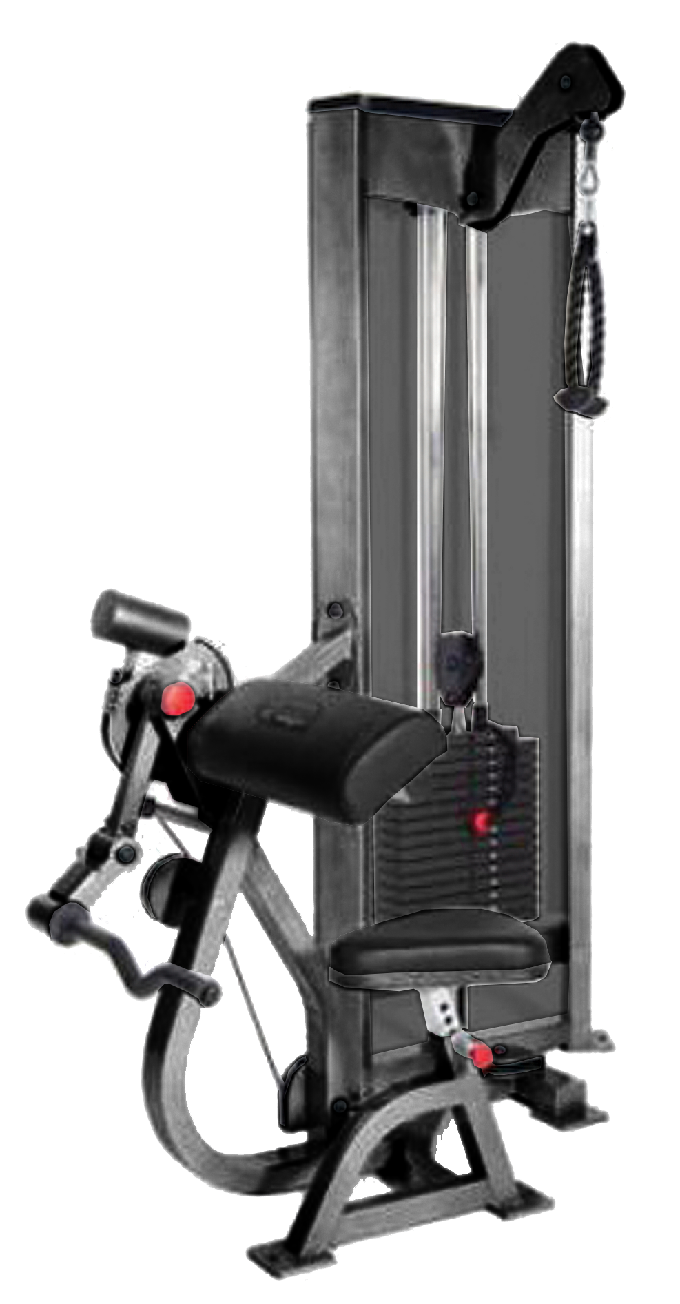 PMX Raptor Seated Arm Curl