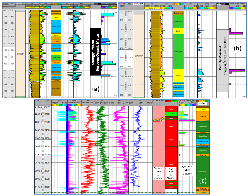 Integrated geological cross-section