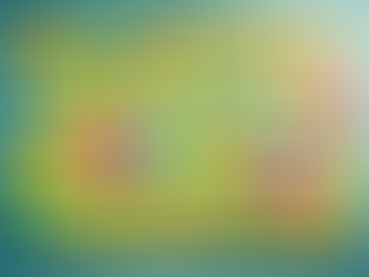 Unlock the Power of Digital Marketing with Tribha Digital Solutions