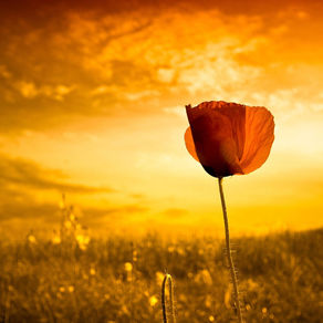 A conversation with…