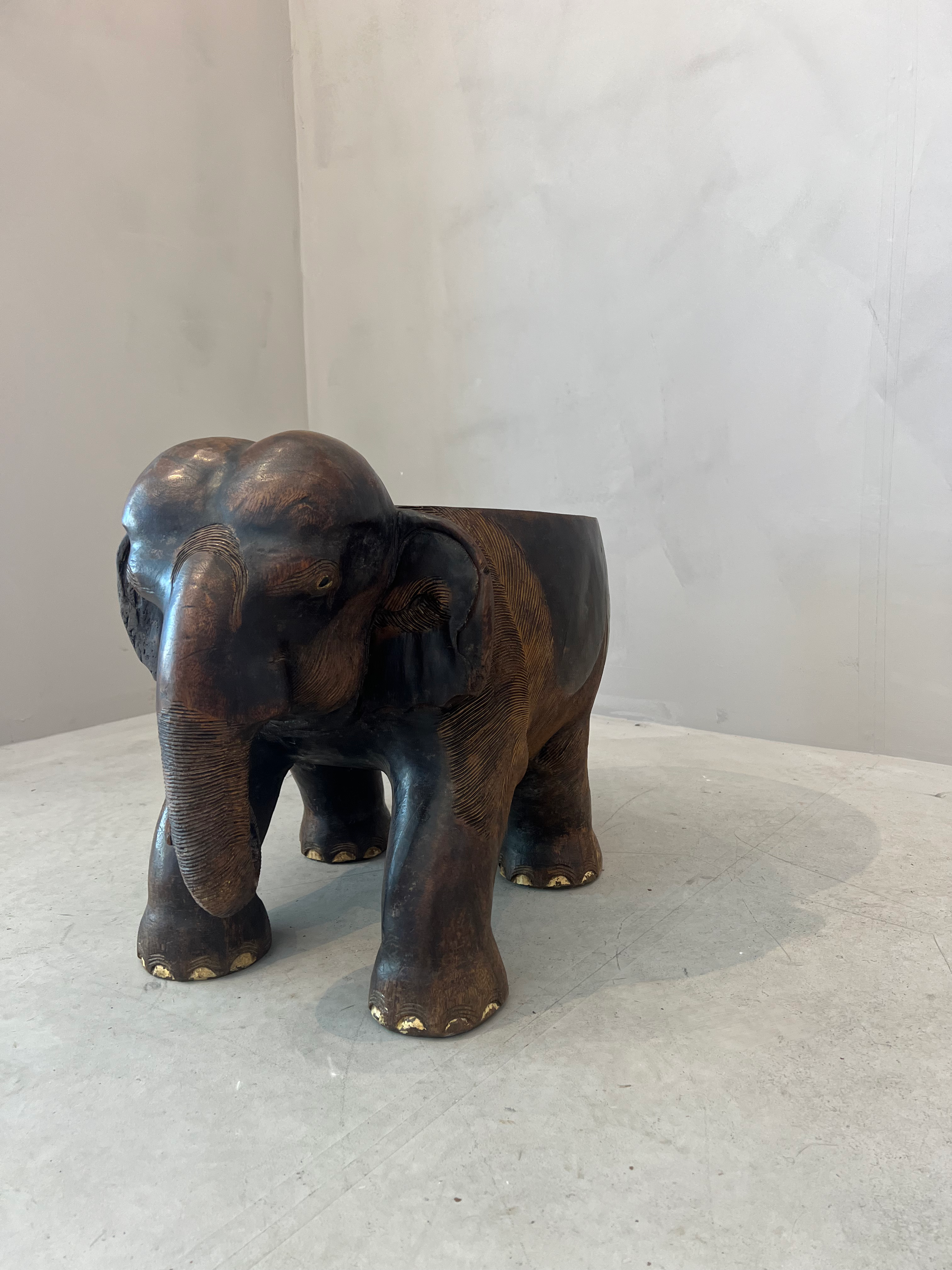 Elephant stool