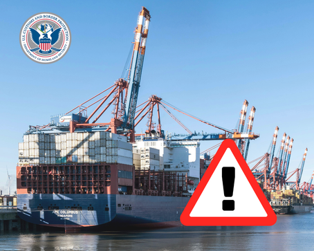 The High Cost of Visibility: Navigating CBP’s New Import Demands