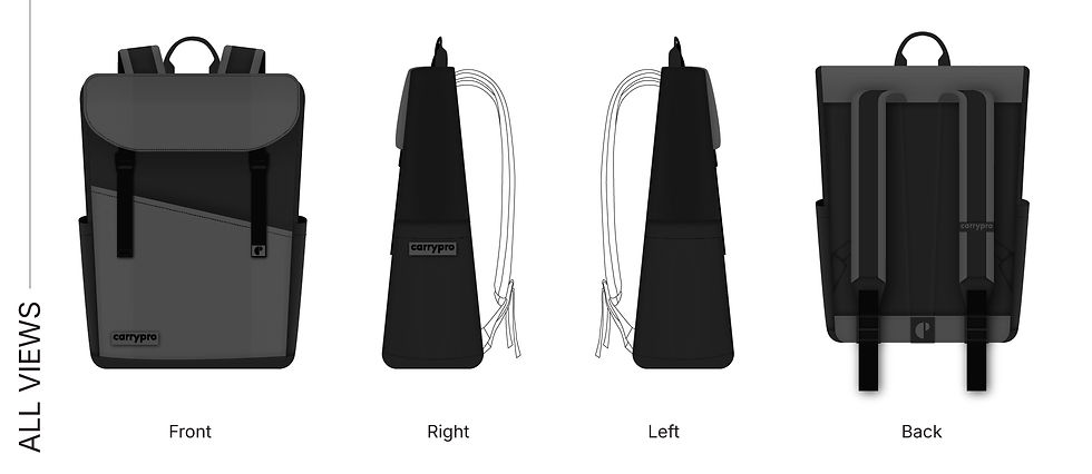 carrypro-02.jpg