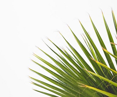 スクリーンショット 2024-09-30 10.28.16.png