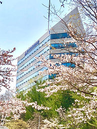 나르마 전경1.jpg