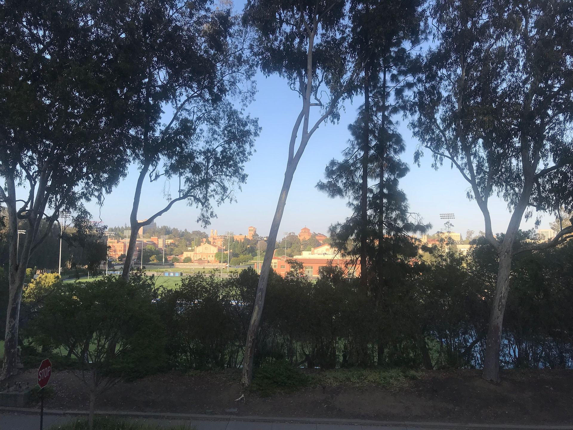 UCLA