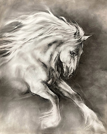 Spirited Kim HG .JPG