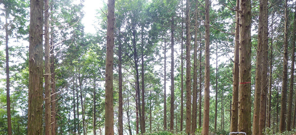 作業後