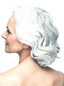 Stylish Silver Hairdo_edited.jpg