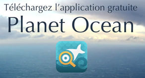 Application mobile « Planet Ocean », pour une consommation responsable des produits de la mer.