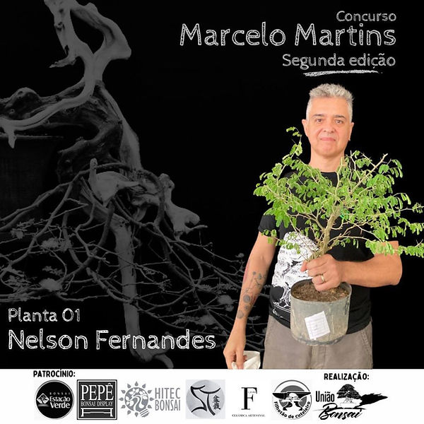01 - Nelson Fernandes.jpeg