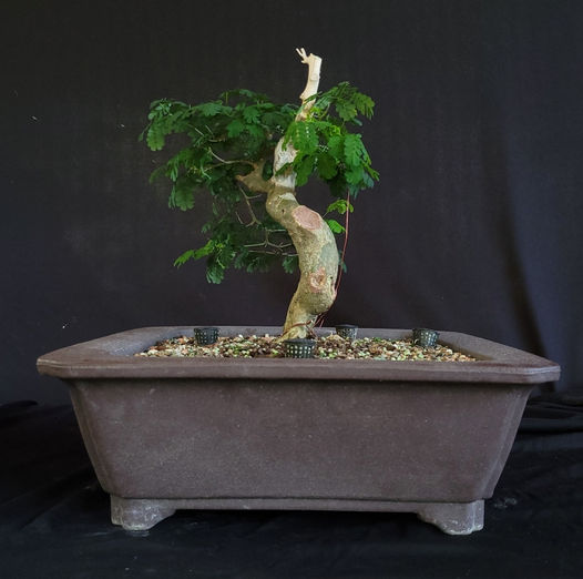 TOMPSOMMAGALHAES_2TRIMESTRE_2023_FOTO02jpg