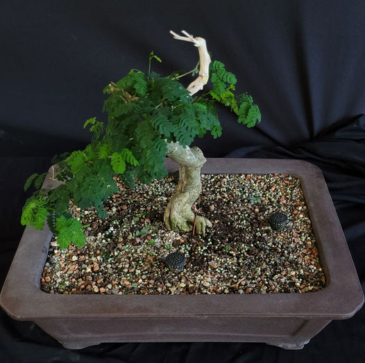 TOMPSOMMAGALHAES_2TRIMESTRE_2023_FOTOEXTRA01jpg