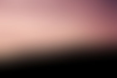 Learning to Be a Young Leader