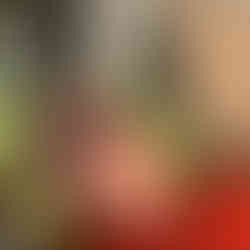 Sonnenbad Anfang November