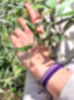 20260517_150114[1]_edited_edited.jpg
