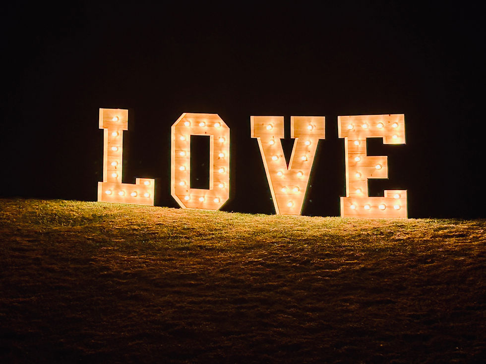 Lettres en bois LOVE