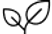ph_plant-thin.png