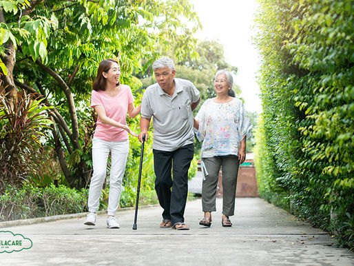 The Importance of Mobility in Elderly Care