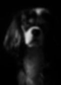 Oaty_Monochrome.jpg
