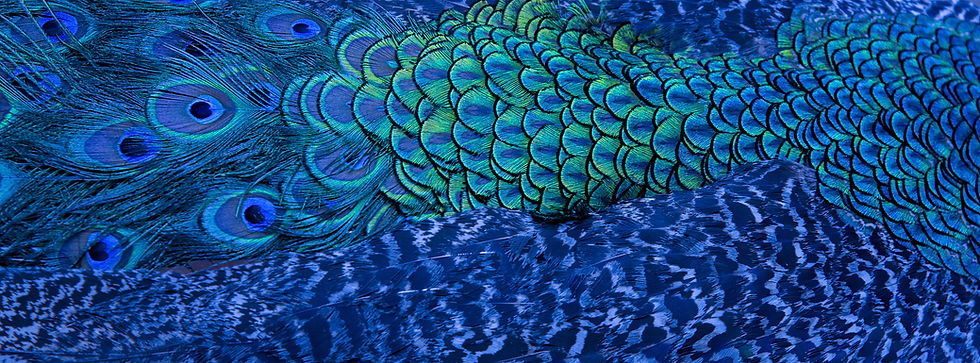 AdobeStock_279616817_RGB.jpeg