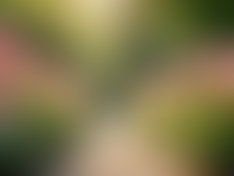 Unlock the Benefits of Faith-Based Coaching