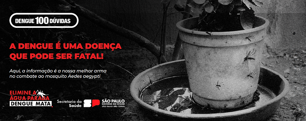 Portal esclarece dúvidas sobre a dengue e alerta para os riscos da doença