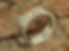 IMG_6965.jpeg