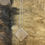 Thumbnail: Copper Dogrose
