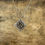 Thumbnail: Copper Dogrose