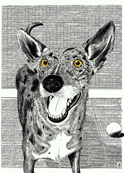 image6.jpeg