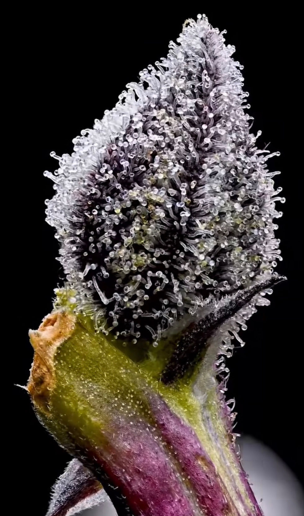 Mängel und Überschüsse verstehen: Warum „mehr hinzufügen“ niemals die Lösung ist