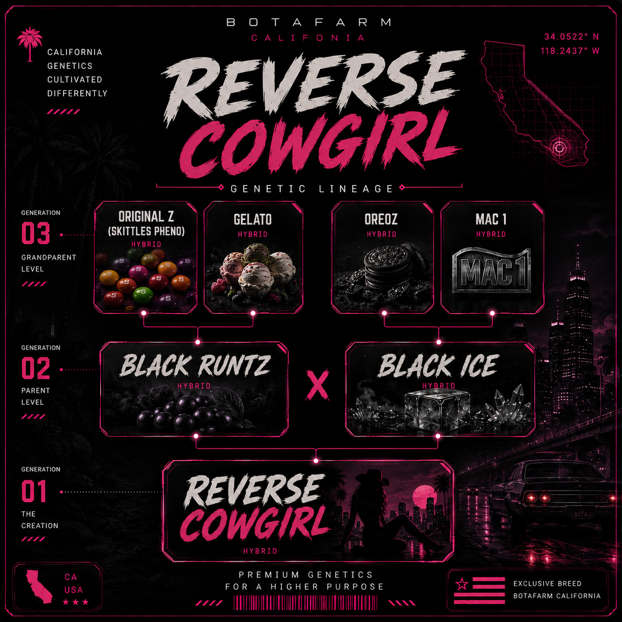 Reverse Cowgirl. FEM