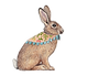 Rabbit_5.png