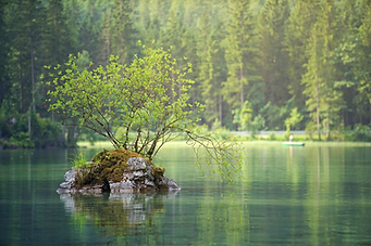 Nature.jpg.png