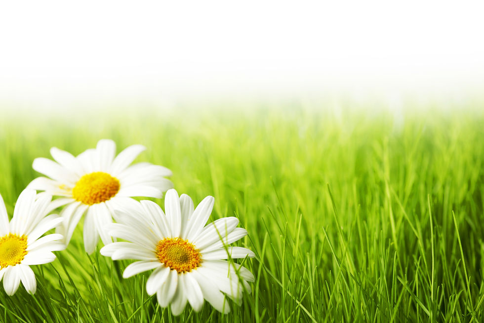 shutterstock_662574187.jpg