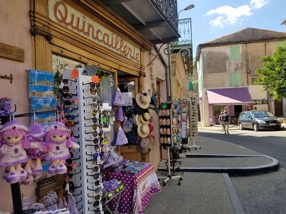 lavender in provence