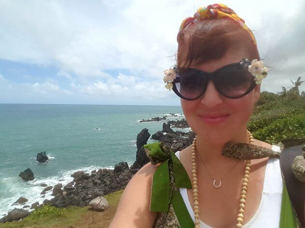 things to do in St Kitts
