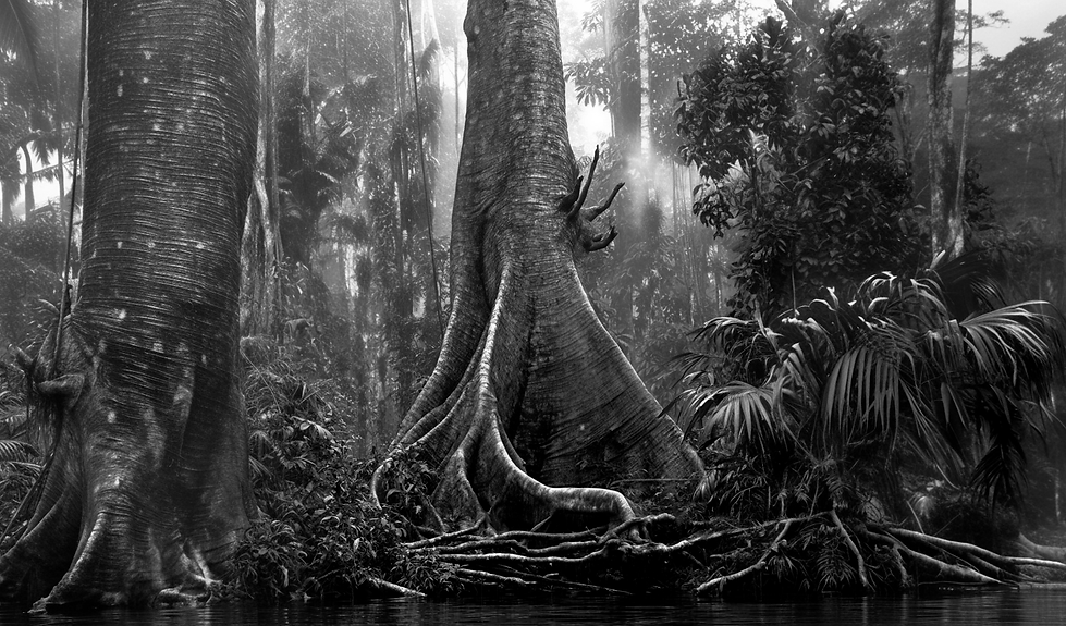 manuel-besse-photographie-brésil-rio-de-janeiro-agência fotográfica_rio-de-janeiro_Le_Dern